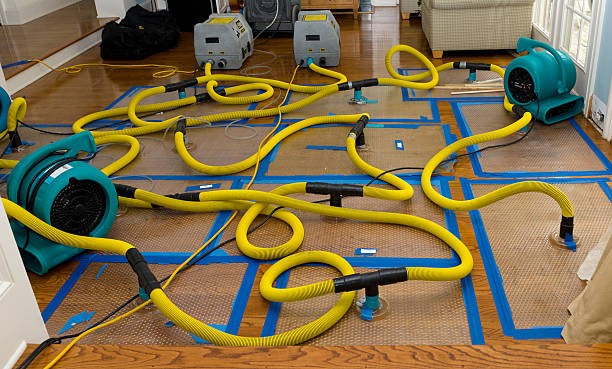 Professional Flood Damage Restoration technician working in Stevens, PA